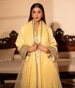 Amber ✨MFLN-1009 3PC DHANAK EMBROIDERED SUIT-PK-5746